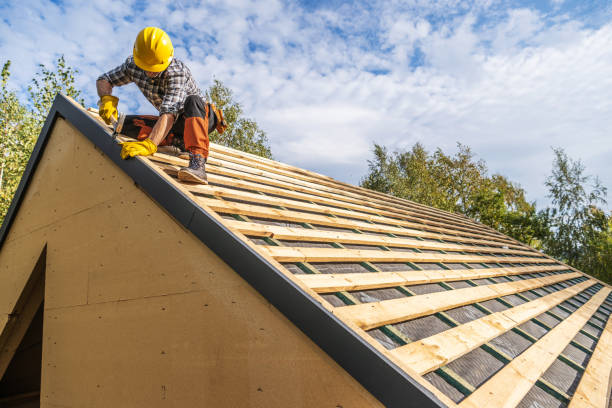 Roof Gutter Cleaning